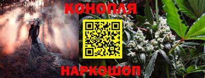 ешки Брянск