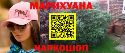 гидра Братск