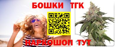 гидра Братск